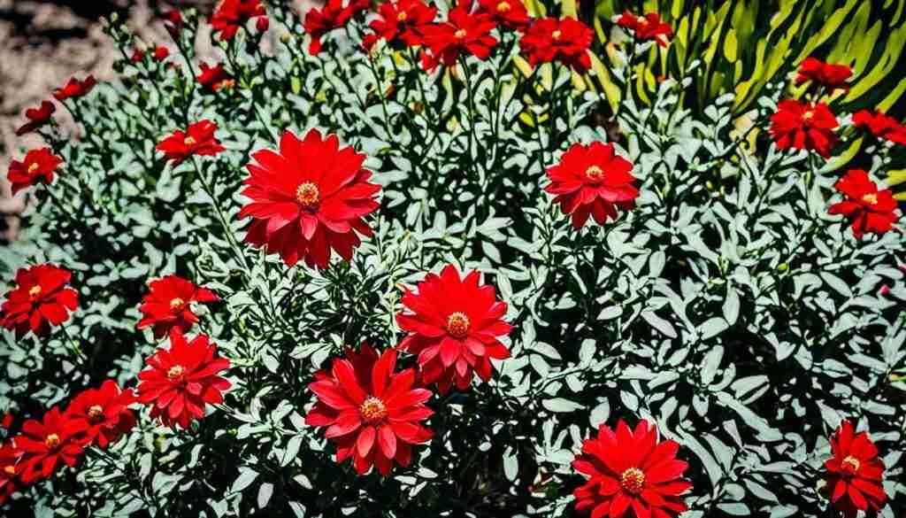 Red Flowers in Culture