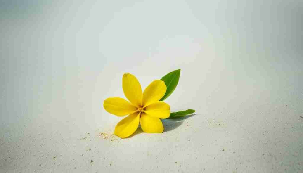 Endangered Yellow Flower Species in Marshall Islands
