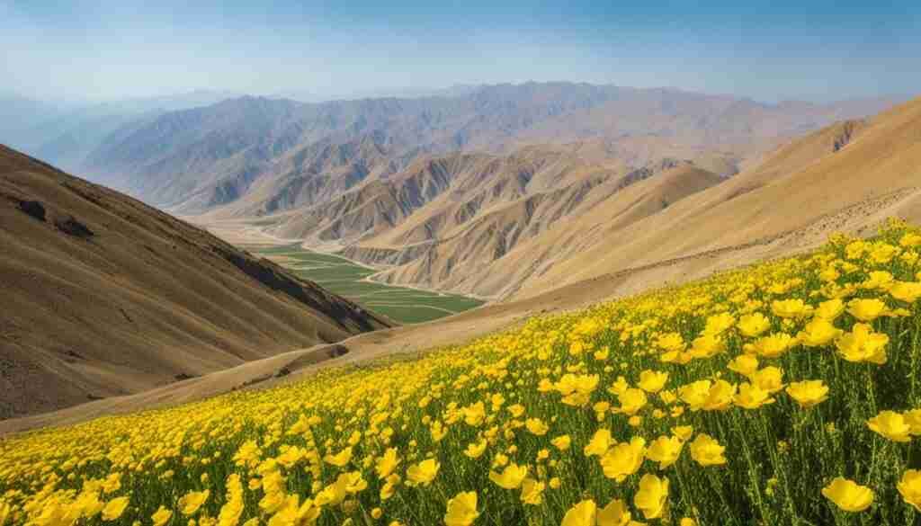 Iranian Yellow Flower Varieties