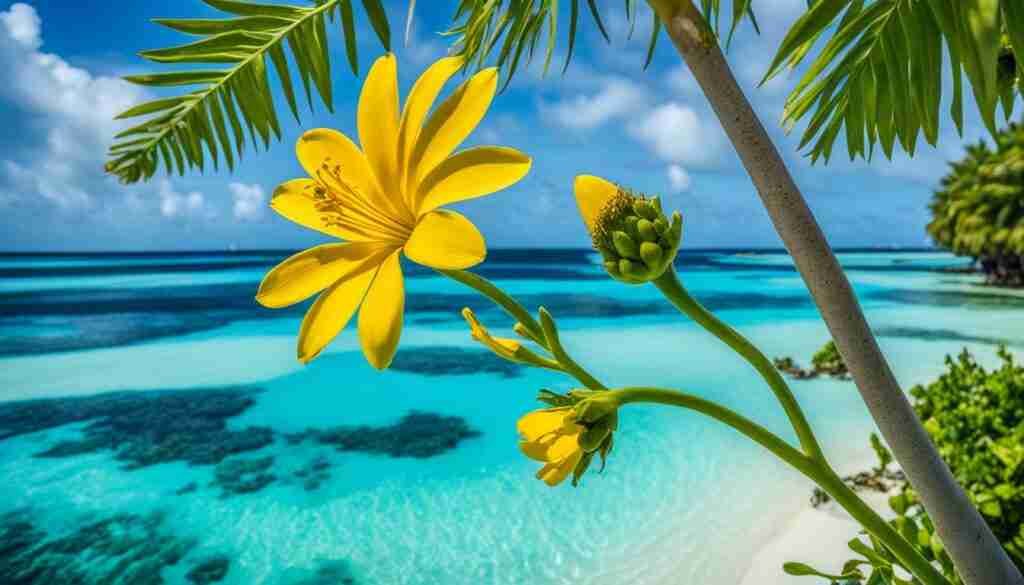 Maldives Yellow Flowers