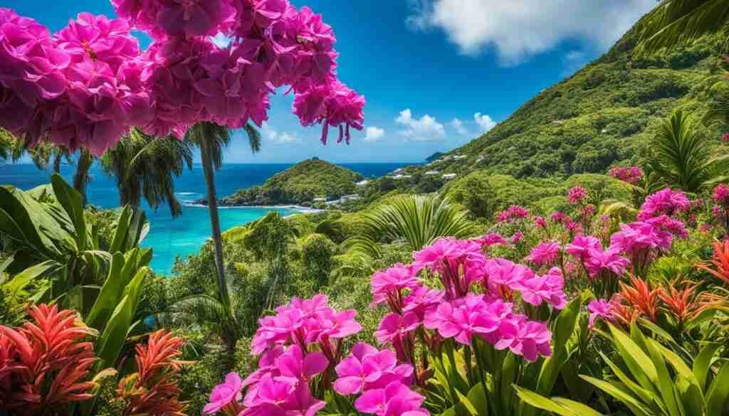 Pink Flower Varieties in Saint Vincent and the Grenadines