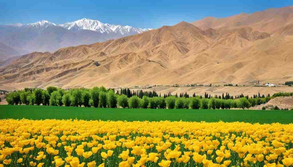 Popular Yellow Flowers in Iran