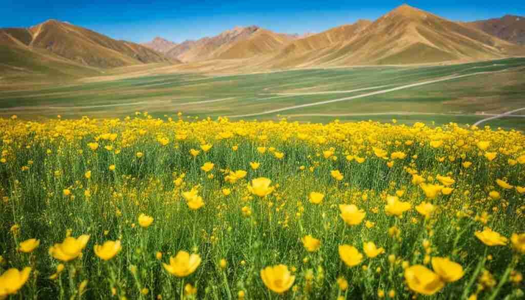 Popular Yellow Flowers in Kazakhstan
