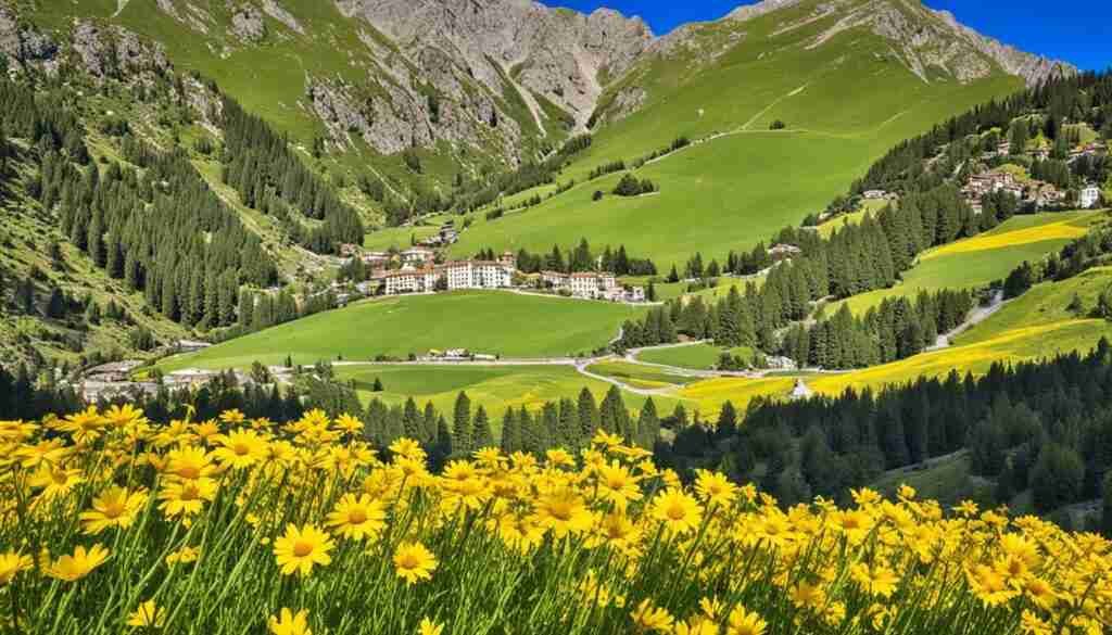 Yellow Flower Types in Andorra