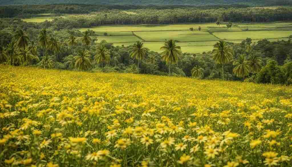 Yellow Flower species list Yellow Flower species list