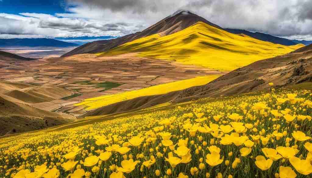 Yellow Flowers in Bolivia