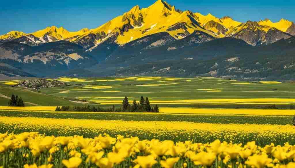 Yellow Flowers in Culture