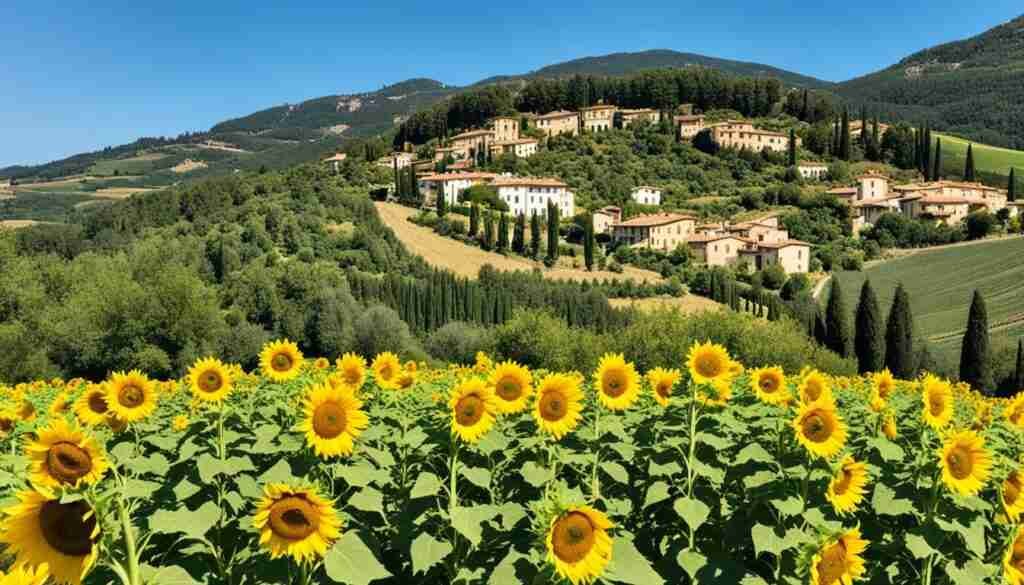 Yellow Flowers in Italy Types and Varieties