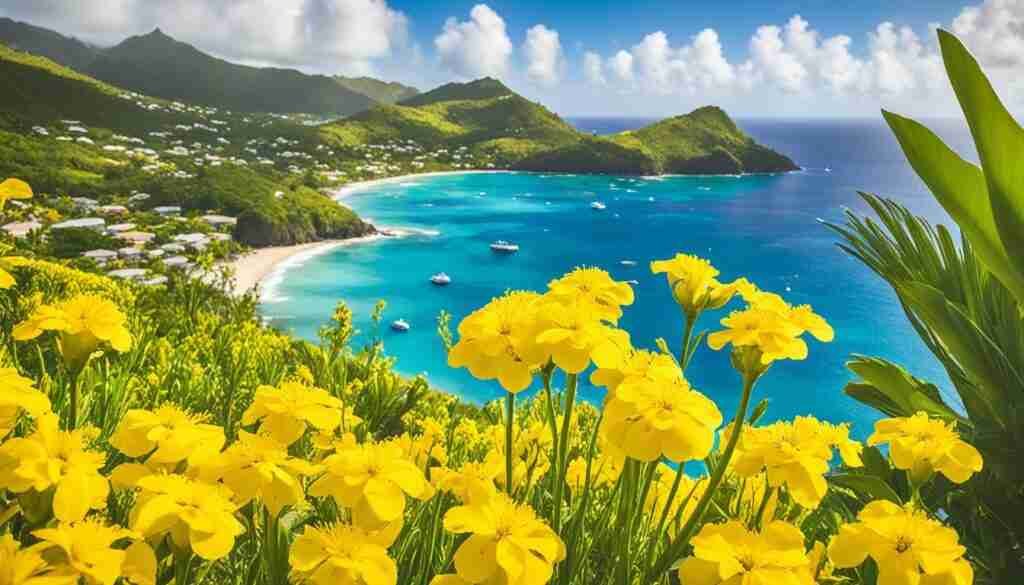Yellow flower varieties in Saint Vincent and the Grenadines