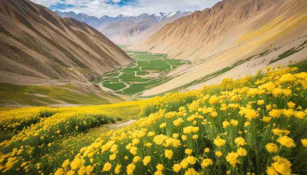 Different Shades of Yellow Floral Blooms