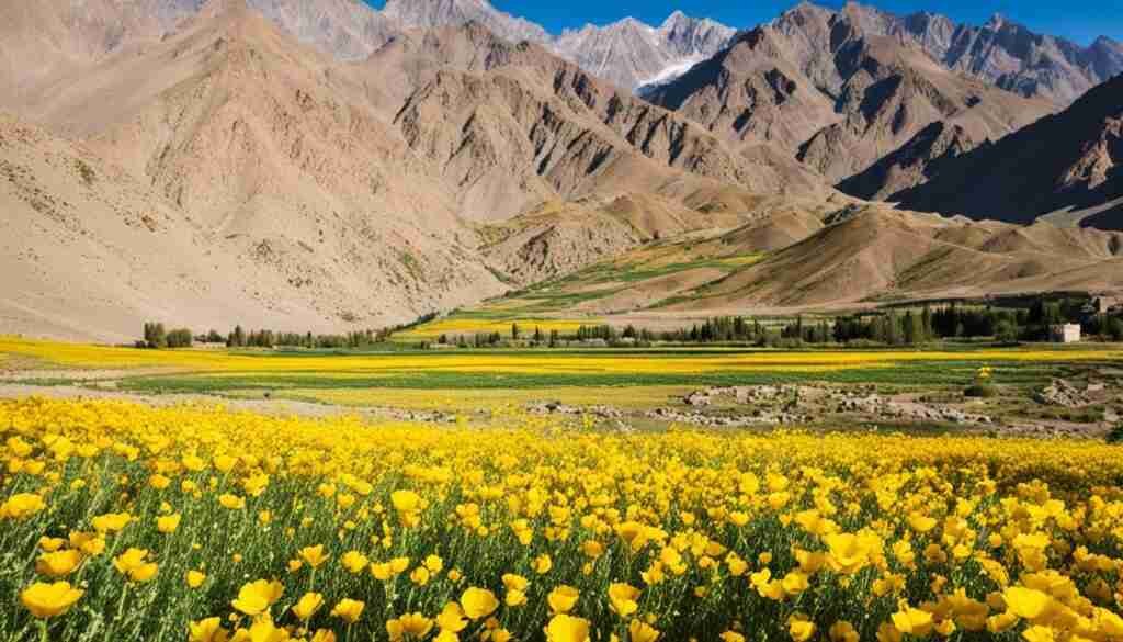 Popular Yellow Flowers in Tajikistan