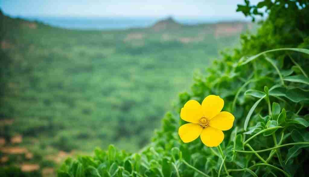 Yellow Flower Meaning in Culture