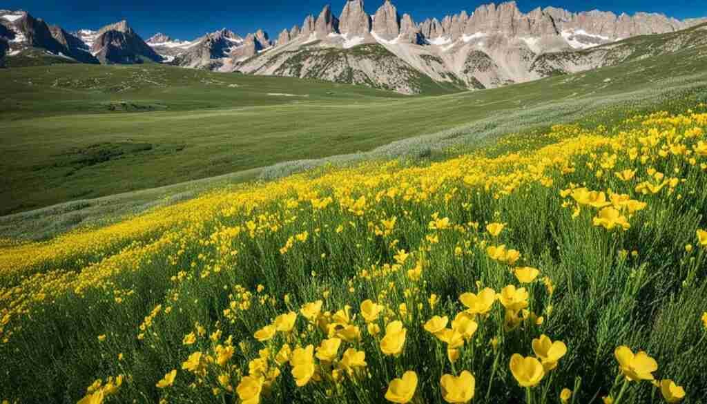 Yellow Flower Varieties