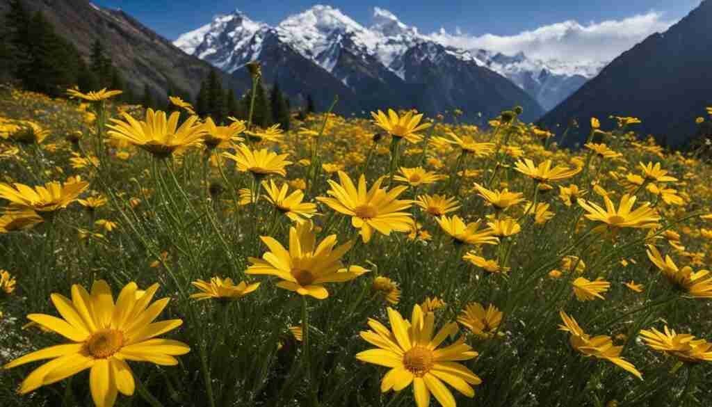 Yellow Flower Varieties in Colorado