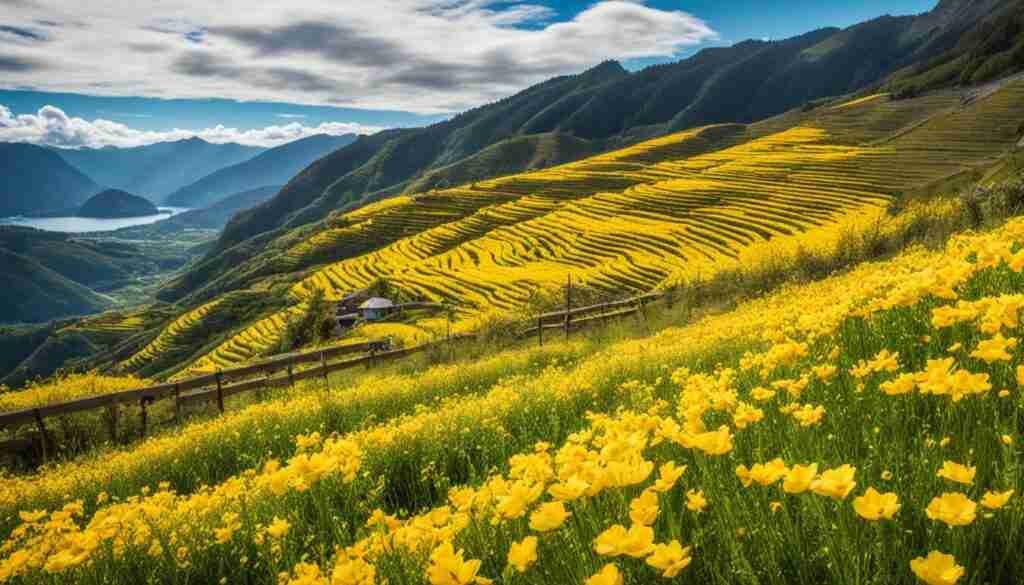 Yellow Flowers in Tajikistan