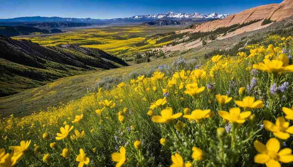 native yellow flowers in Utah